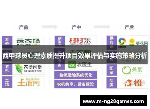 西甲球员心理素质提升项目效果评估与实施策略分析