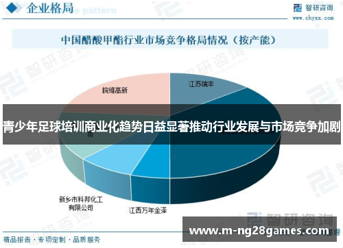 青少年足球培训商业化趋势日益显著推动行业发展与市场竞争加剧 青少年足球培训商业化趋势日益显著推动行业发展与市场竞争加剧