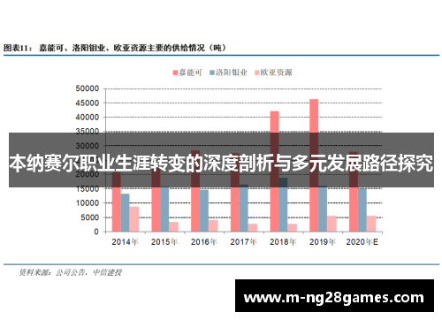 本纳赛尔职业生涯转变的深度剖析与多元发展路径探究 本纳赛尔职业生涯转变的深度剖析与多元发展路径探究