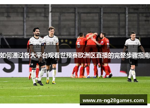 如何通过各大平台观看世预赛欧洲区直播的完整步骤指南