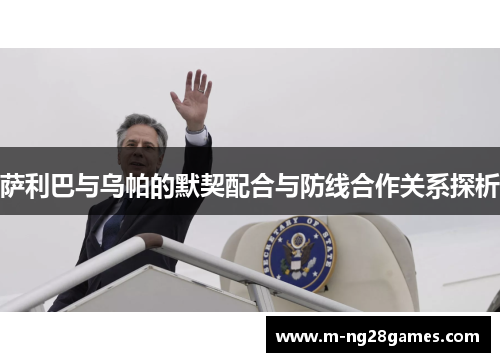 萨利巴与乌帕的默契配合与防线合作关系探析