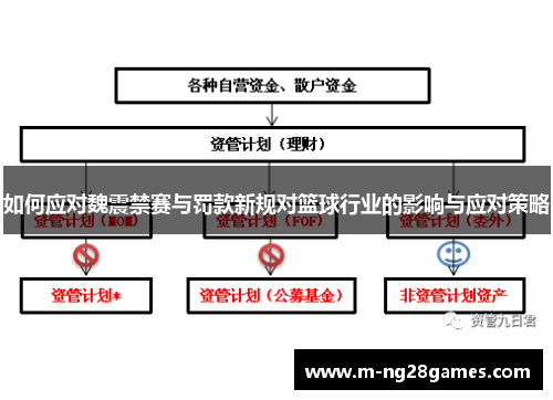 如何应对魏震禁赛与罚款新规对篮球行业的影响与应对策略 如何应对魏震禁赛与罚款新规对篮球行业的影响与应对策略