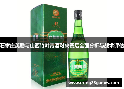石家庄英励与山西竹叶青酒对决赛后全面分析与战术评估