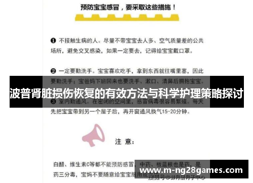波普肾脏损伤恢复的有效方法与科学护理策略探讨