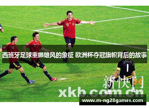 西班牙足球重振雄风的象征 欧洲杯夺冠旗帜背后的故事 西班牙足球重振雄风的象征 欧洲杯夺冠旗帜背后的故事