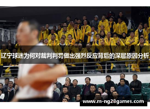 辽宁球迷为何对裁判判罚做出强烈反应背后的深层原因分析 辽宁球迷为何对裁判判罚做出强烈反应背后的深层原因分析