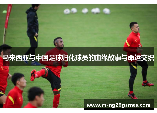 马来西亚与中国足球归化球员的血缘故事与命运交织 马来西亚与中国足球归化球员的血缘故事与命运交织