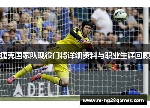 捷克国家队现役门将详细资料与职业生涯回顾