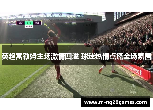 英超富勒姆主场激情四溢 球迷热情点燃全场氛围